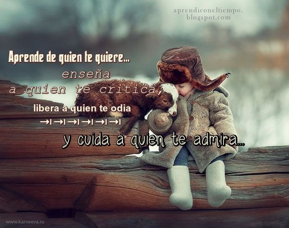 Frases para leer, Mensajes Positivos, Frases sobre el odio, Aprende a soltar, Mensajes Bonitos Para Compartir, 