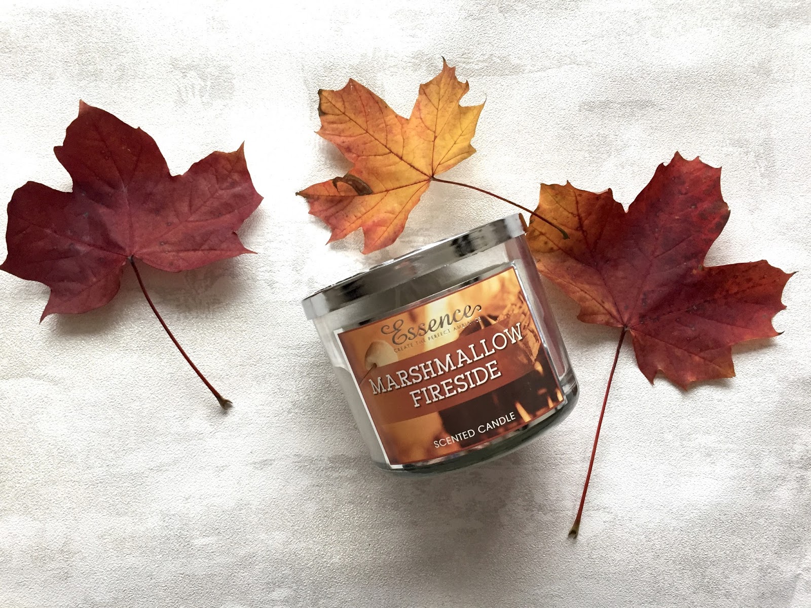 Bath and Body Works Candle Dupes Abbie Thorn