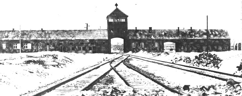 L'Olocausto visto dai polacchi