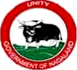 DTE Nagaland Diploma Result 2016 DTE Nagaland