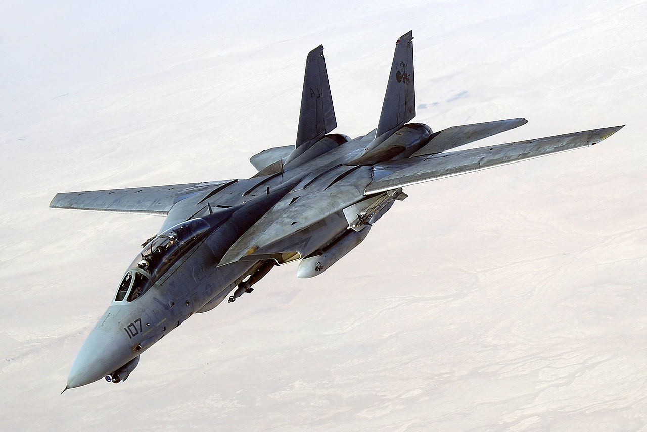 Defence Horizon: F14 tomcat