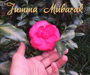 jumma mubarak,jumma mubarak whatsapp status,jumma mubarak status,jumma mubarak images,jumma mubarak dua,jumma mubarak quotes,jumma mubarak photos,jumma mubarak picture,jumma mubarak whatsapp status 2018,jumma mubarak wishes,jumma mubarak gif,jumma mubarak naat,jumma mubarak greeting,jumma mubarak wallpaper,jumma mubarak dua images,jumma mubarak new images