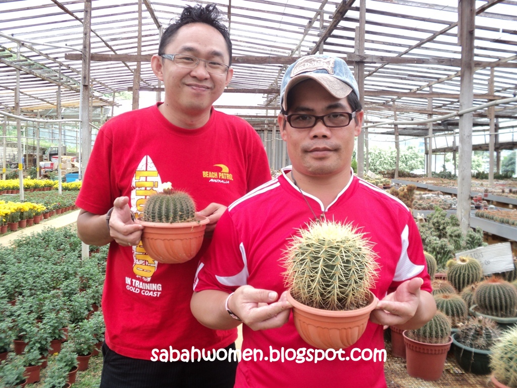 Flower Nursery at JS Nursery, Kundasang Sumandak Kinabalu Little Corner