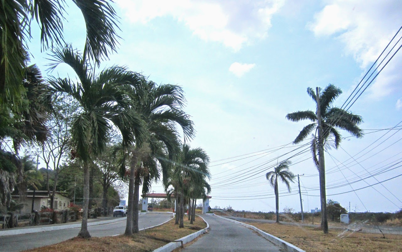 Coronado, Panama, WRITTEN Report Panama For Real