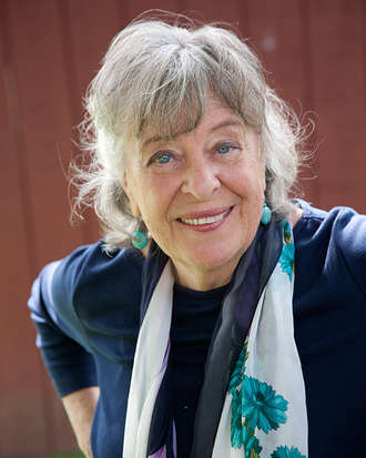 Gretchen cryer susan dworkin essay 06 image