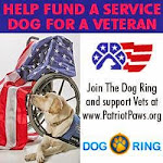 Help Fund a Service Dog For a Veteran!