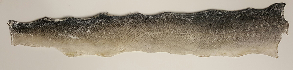 The Pressbengel Project: Exploring German bookbinding traditions and ... The Pressbengel Project: Exploring German bookbinding traditions and ...