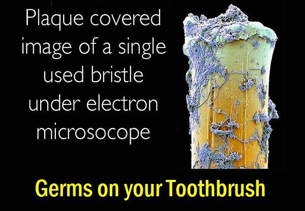 ORAL HEALTH: Germs on your Toothbrush