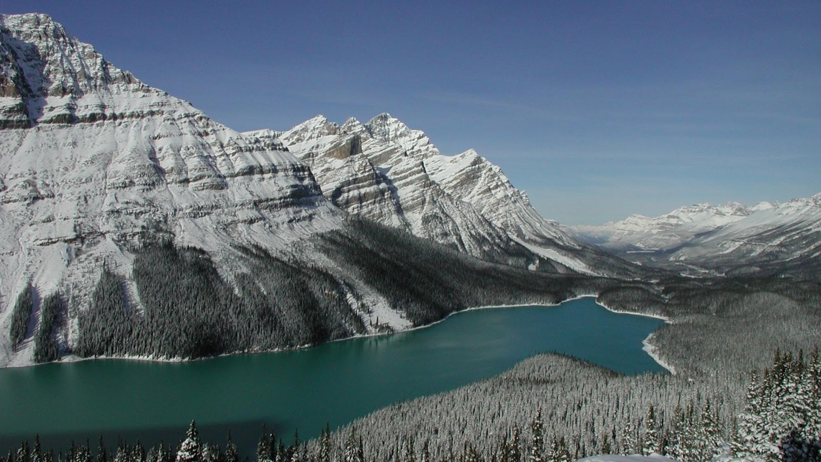 Озеро пейто в канаде Озеро пейто в канаде