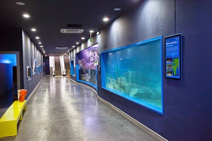 ETİ Sualtı Dünyası, Eskişehir Tatil Ana