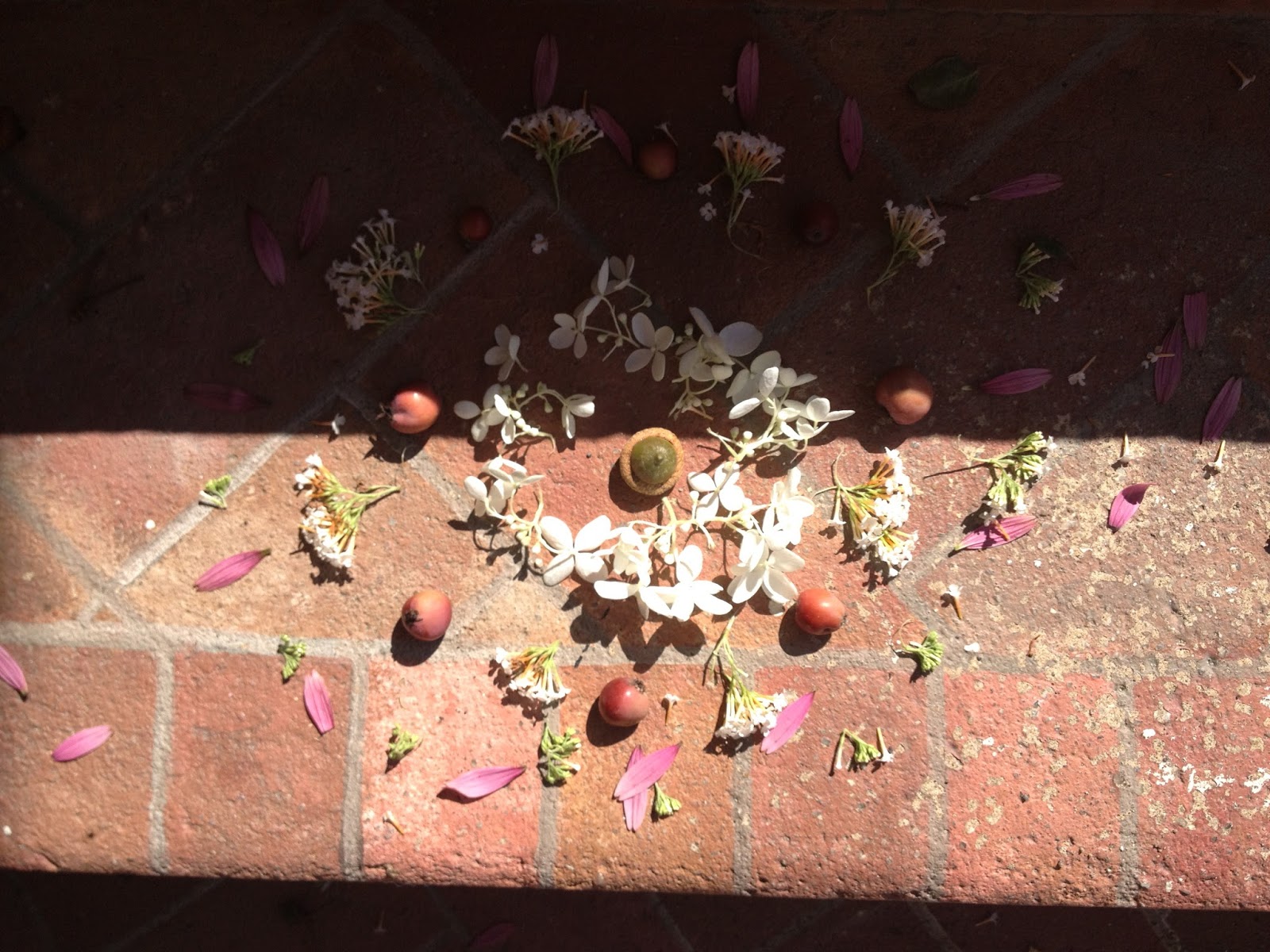 River City Art * Collinsville: Kids Nature Mandalas