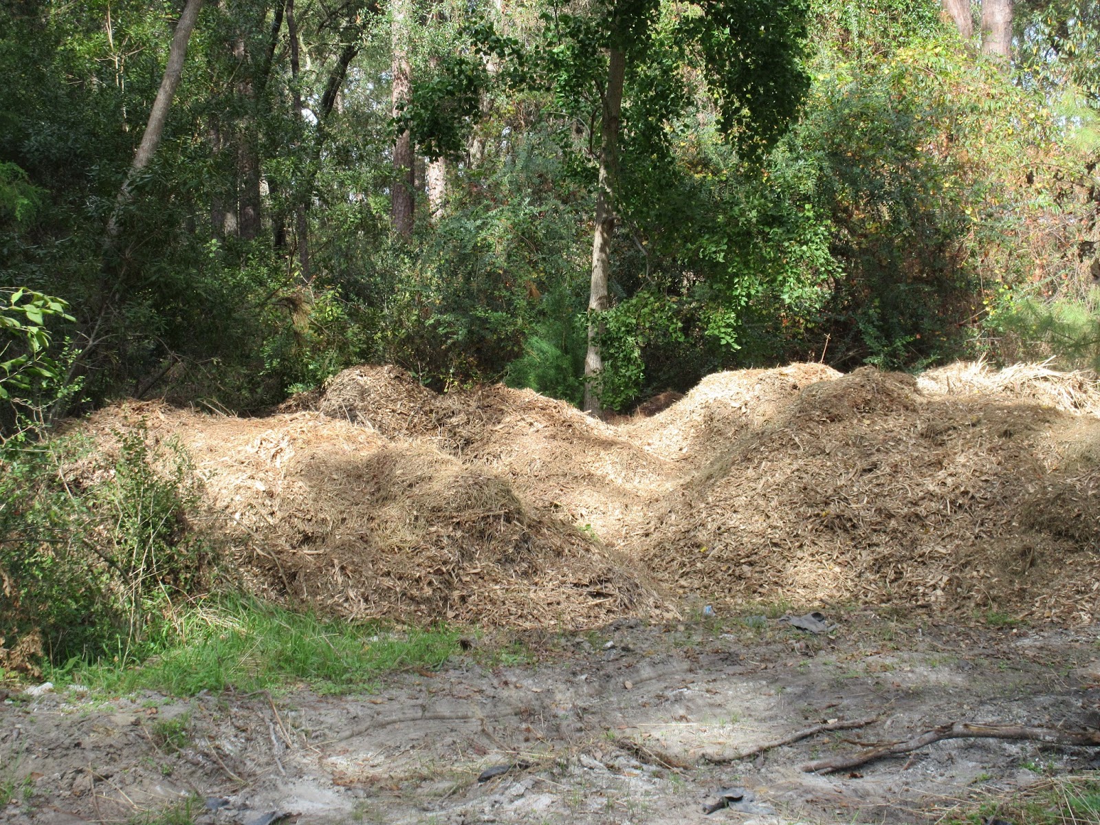 THE WEDGEFIELD EXAMINER IS WEDGEFIELD'S NEWEST DUMP WOOD CHIPS