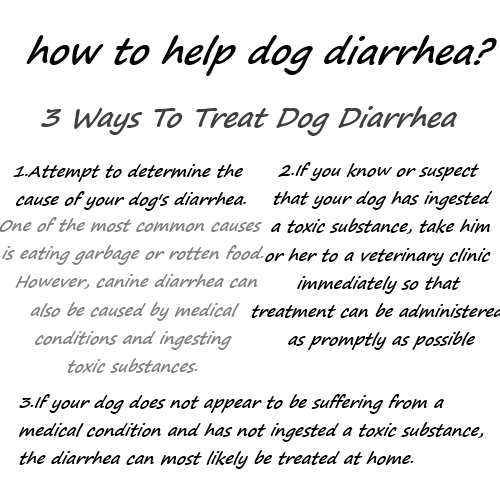 1Betterof How to help dog diarrhea 3 Ways