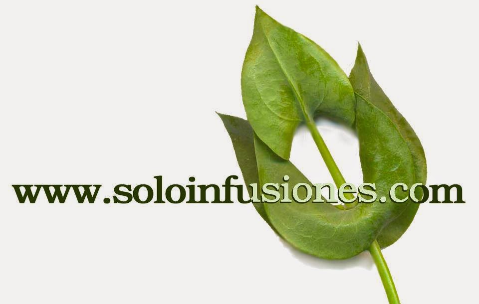 SOLOINFUSIONES