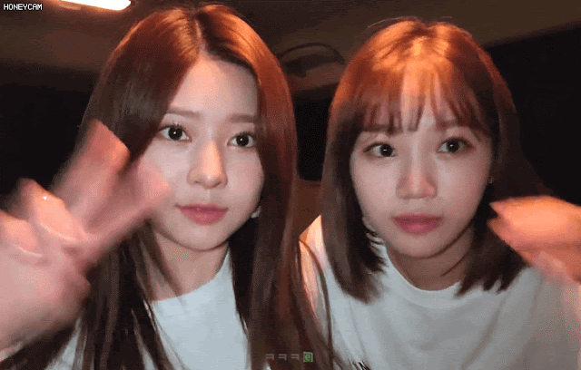Honeycam%2B12919.gif