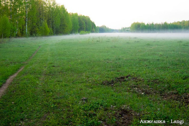 Бедная Лиза. Современный взгляд Бедная Лиза. Современный взгляд