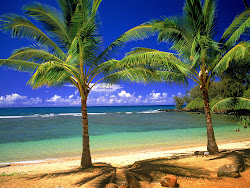 tropical desktop beach philippines wallpapers nature background hawaii hawaiian beaches widescreen caribbean aloha sunset peaceful