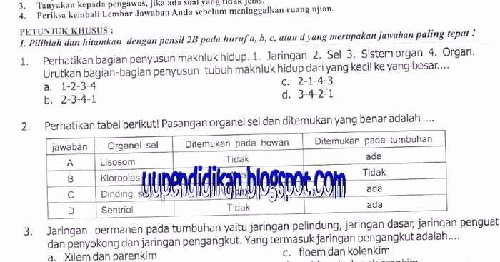 ☀ Get kunci jawaban bahasa inggris bab 2 kls 9 images