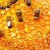 ¿Cómo producen miel las abejas?