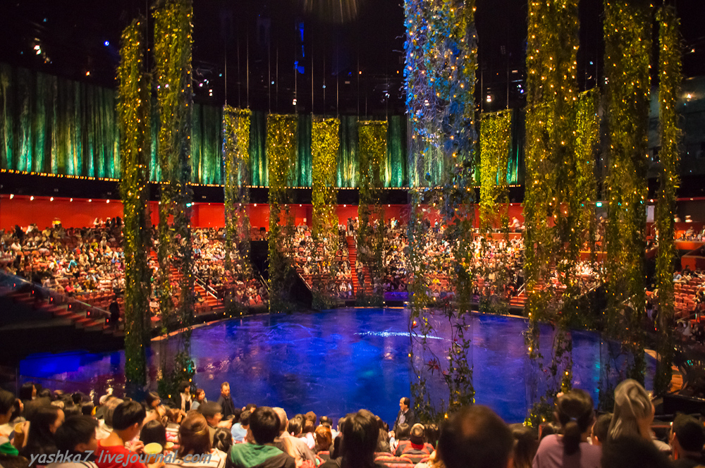 петер цумтор термы в вальсе. скарлетт йоханссон в бассейне. сцена бассейн. петер цумтор интерьеры. макао водное шоу.