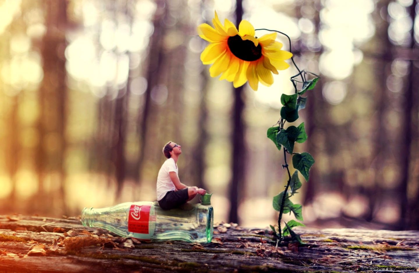 Best 3D Wallpapers In HD Quality