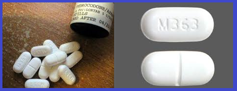 Obat penahan nyeri Hydrocodone