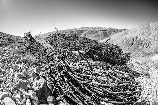 Bikebergsteigen Westalpen - Mont Chaberton 3136 m