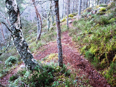 Path doubles back on Craigendarroch, a Deeside walk