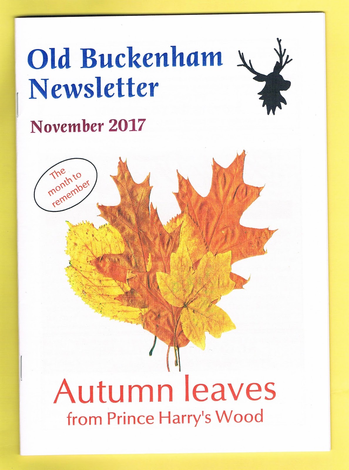 Old Buckenham blog: November newsletter is around in Old Buckenham