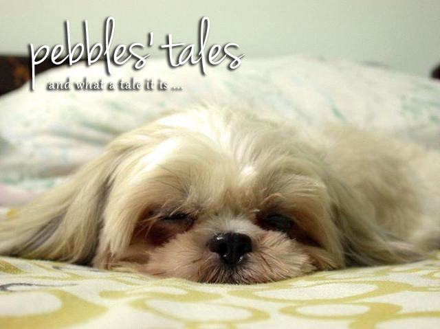 Pebbles' Tales