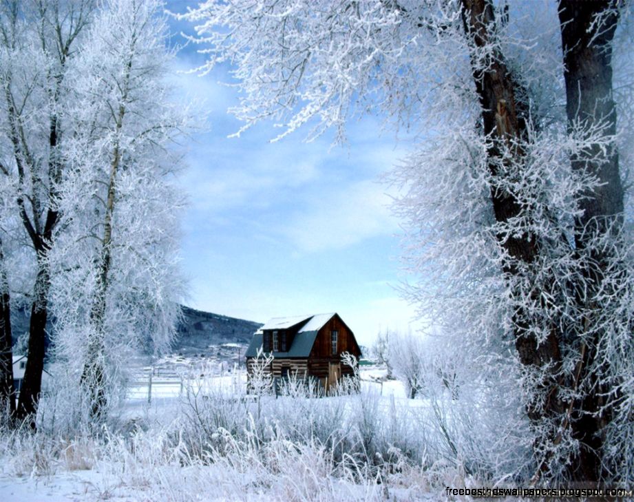 Winter Scenes wallpapers   Crazy Frankenstein