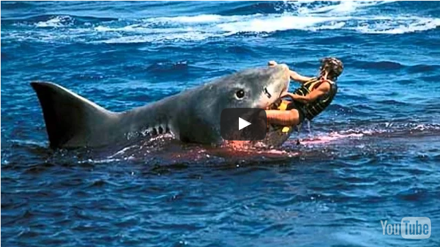 10 Most Dangerous Sharks to Humans