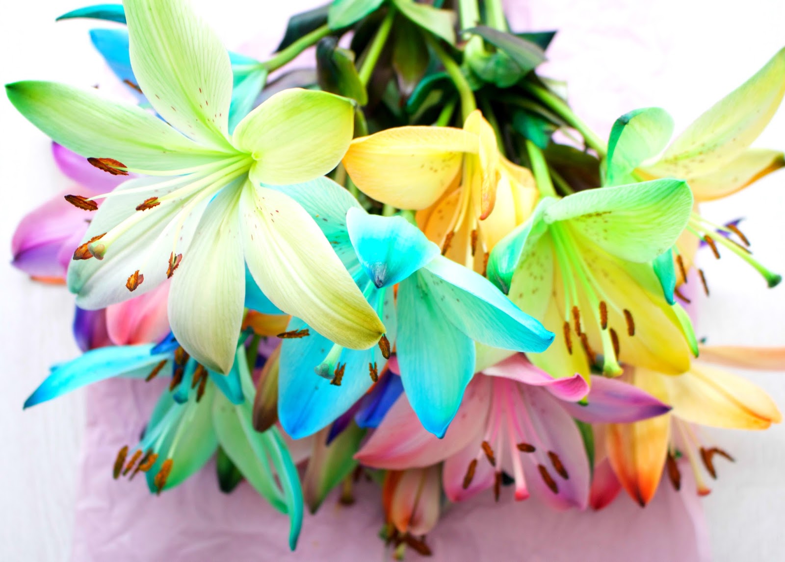 Rainbow Lilies. Blue lilies. Purple lilies. Orange lilies. Green lilies. Multi coloured lilies. spring lilies. spring flowers. Blossoming Gifts flowers. Blossom gifts rainbow lilies. Giveaway, competition. Blog competition. Blog giveaway. Product review. Flower bouquet. 100 Ways to 30, Uk life and style blog, brands, collaboration. Lily pollen.  Canon 700d photos