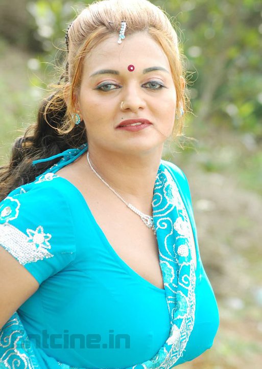 Housewife Photo Desi Masala Navel Housewife In Hot Saree And Cleavage