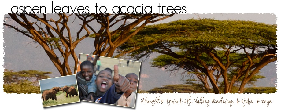 Aspen Leaves to Acacia Trees