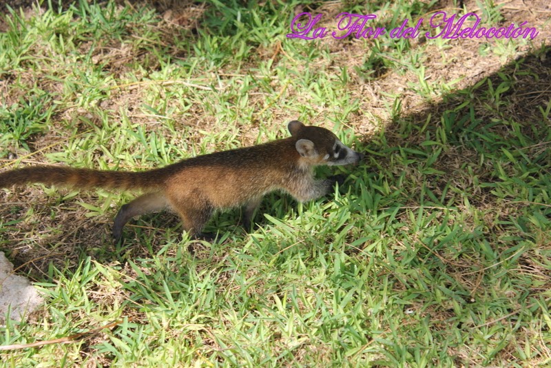 Vacaciones en la Riviera Maya
