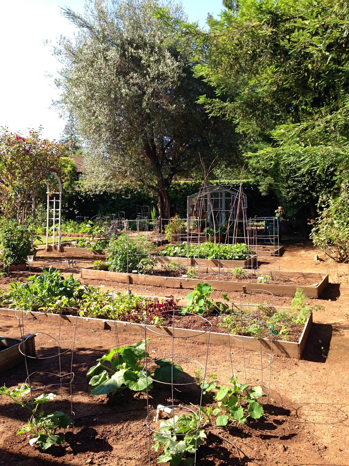 how does your garden grow? Knitionary