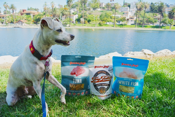 Grandma Lucy's All Natural Dog Treats Review