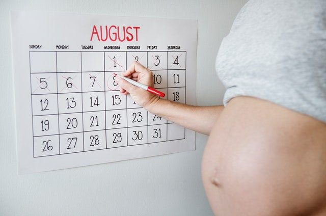 Pregnancy Dates