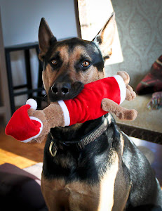 Cracker Critters - 1st place