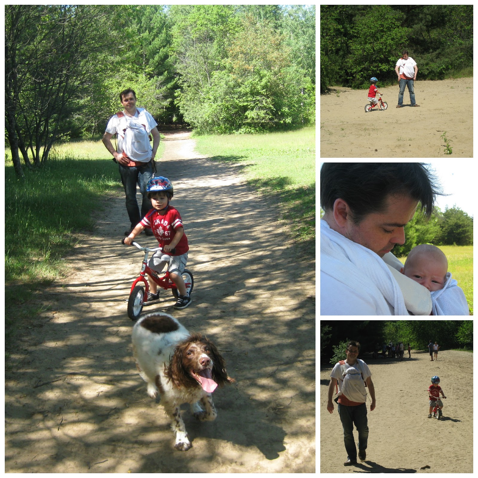 Ottawa Babywearing Group Summer Babywearing