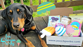 pooch perks dog subscription box rescue doberman
