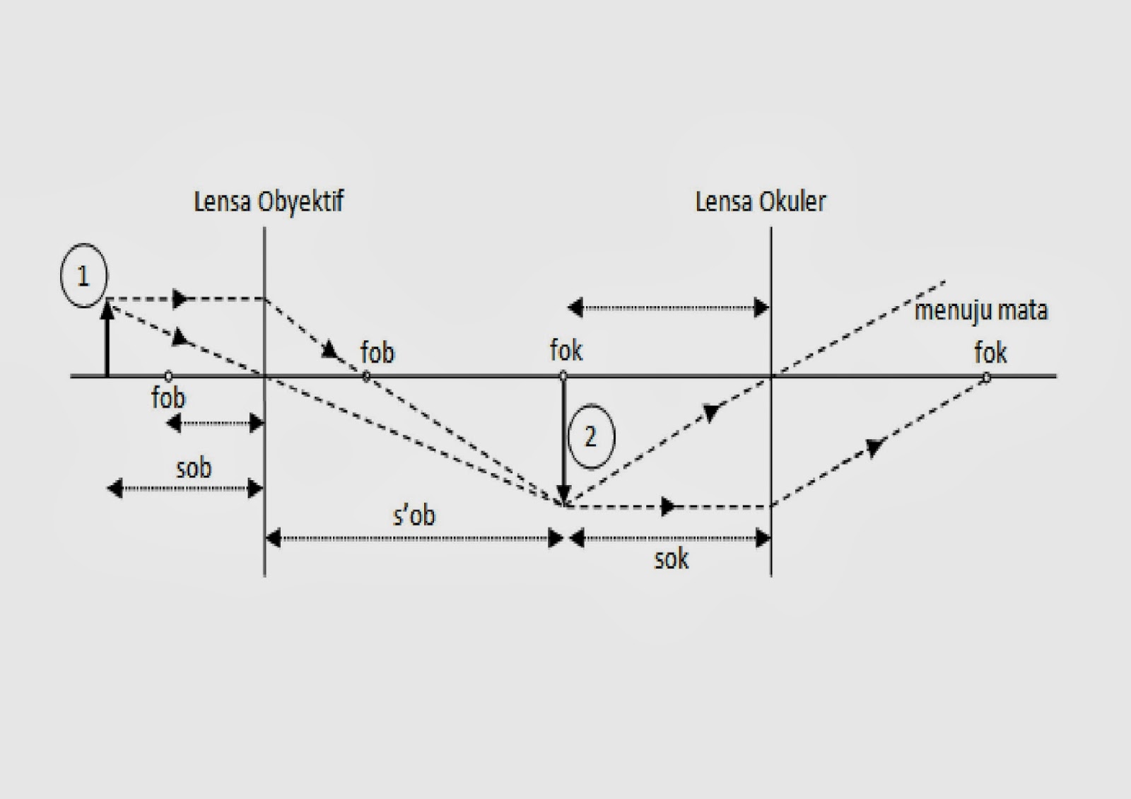 PROXIMA CENTAURI MIKROSKOP