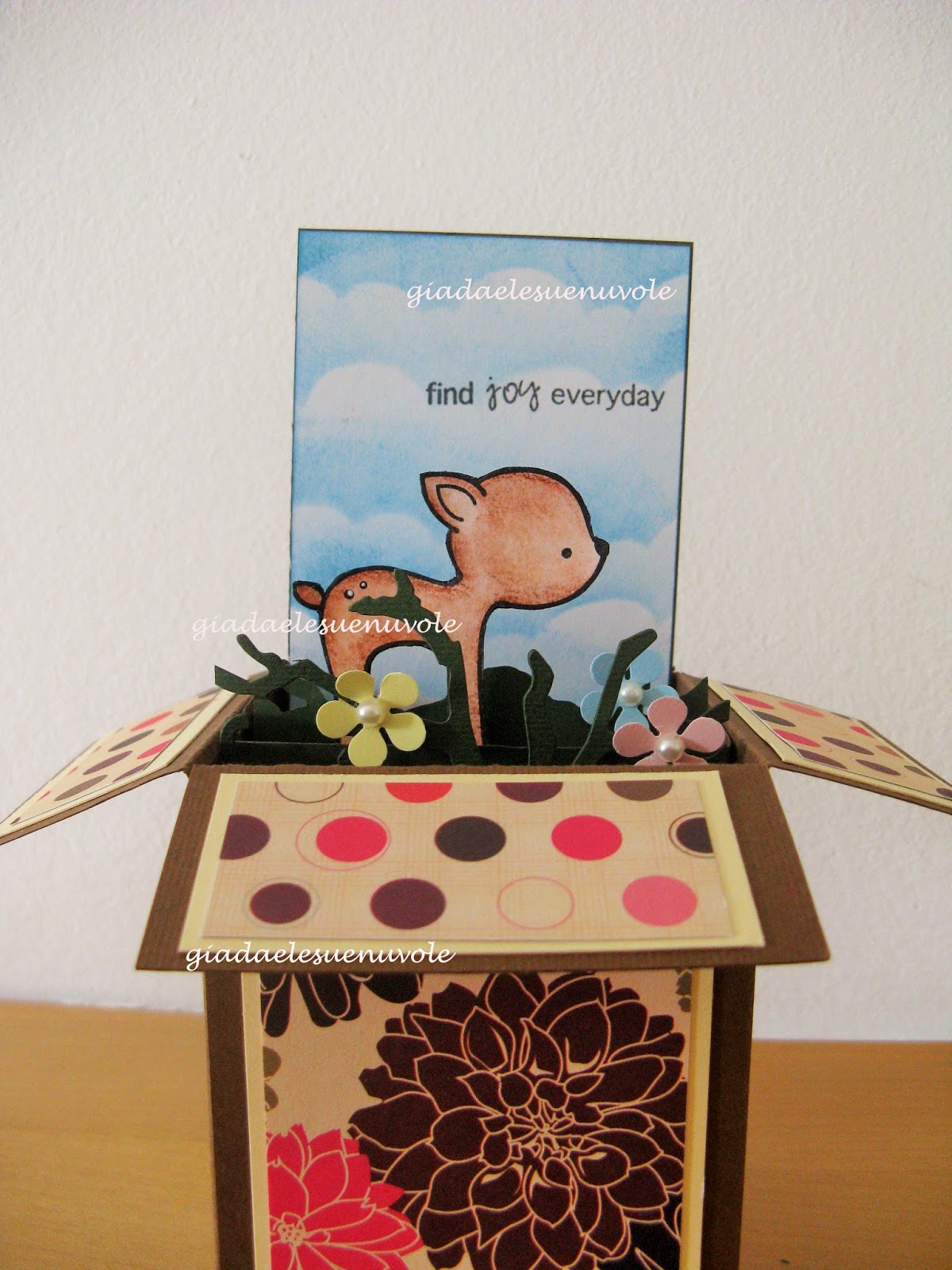 Card in a box - giadalesuenuvole