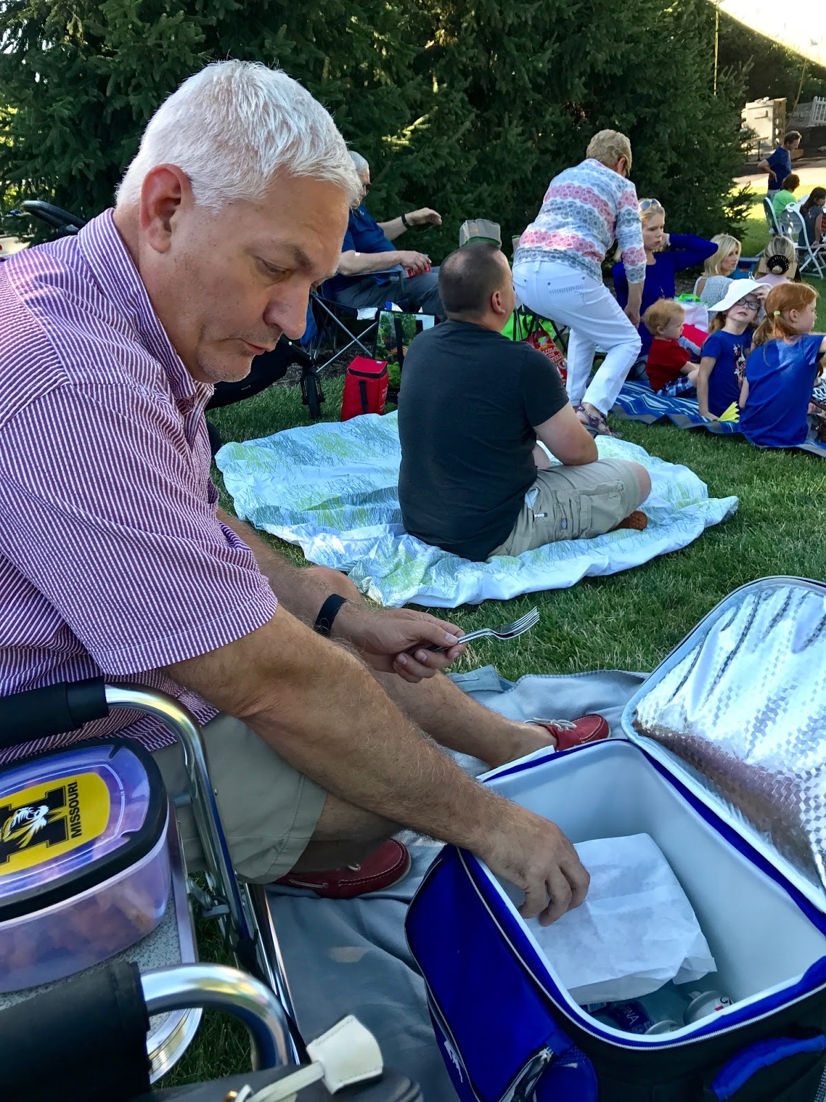 Picnic at the Missouri Botanical Gardens Our Good Life