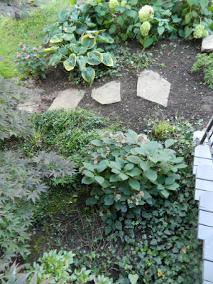 The Annex front garden cleanup after by Paul Jung Gardening Services Toronto