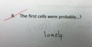 Funny Kids Test Answers