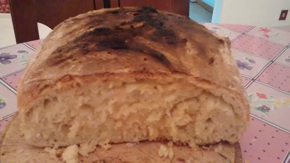 RICETTA PANE DI ALTAMURA RICETTA PANE DI ALTAMURA
