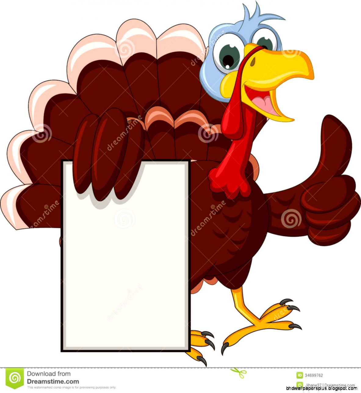 Funny Turkey Cartoon Posing With Blank Sign Stock Photography