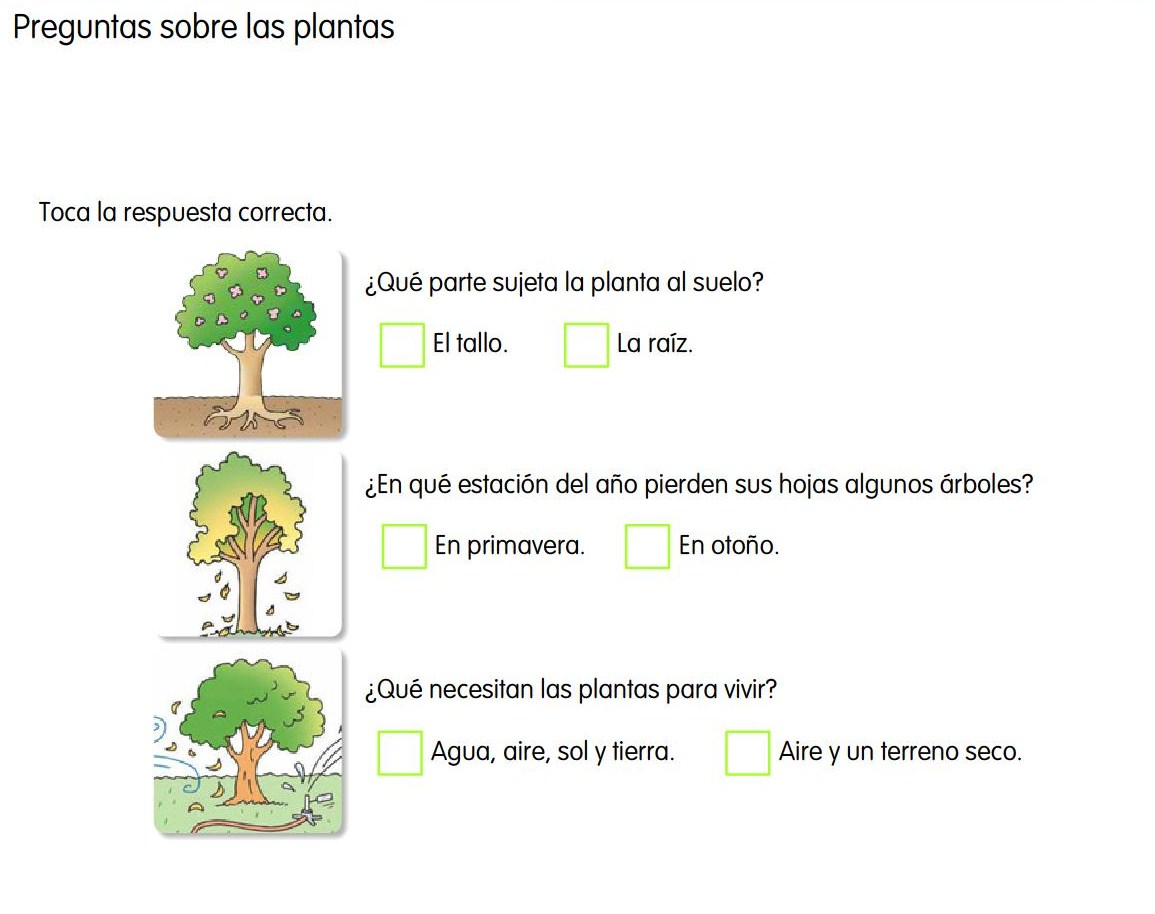 MI PRIMER BLOG: JUEGOS CONOCIMIENTO DEL MEDIO. SEGUNDO TRIMESTRE